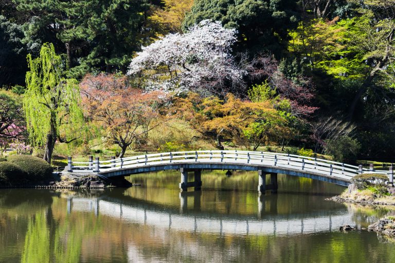 Świadectwa: Rak Jelita i Tian Xian — Przewodnik Informacyjny 2 Świadectwo dotyczące raka jelita — Pan Nakaro, Prefektura Miyagi, Japonia