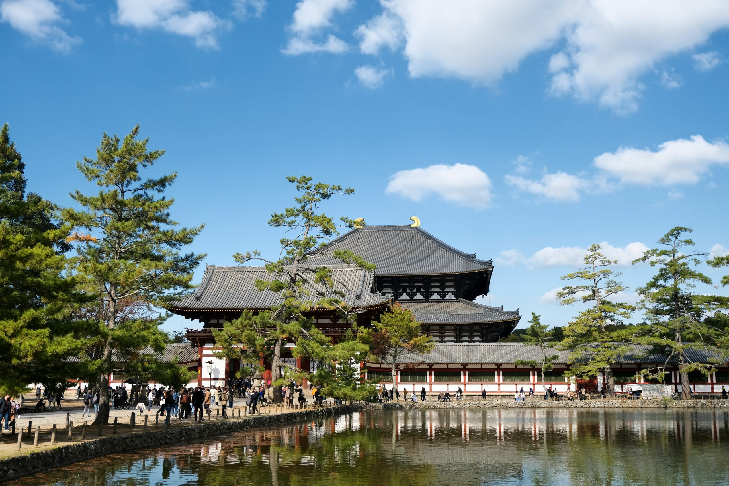 Rak Trzustki: Rodzina Zdziwiona Moim Powrotem do Zdrowia Świadectwo osoby, która przeżyła raka trzustki: pani Shimitsu z Japonii wspierała leczenie Eliksirem Tian Xian, ku zdziwieniu rodziny.